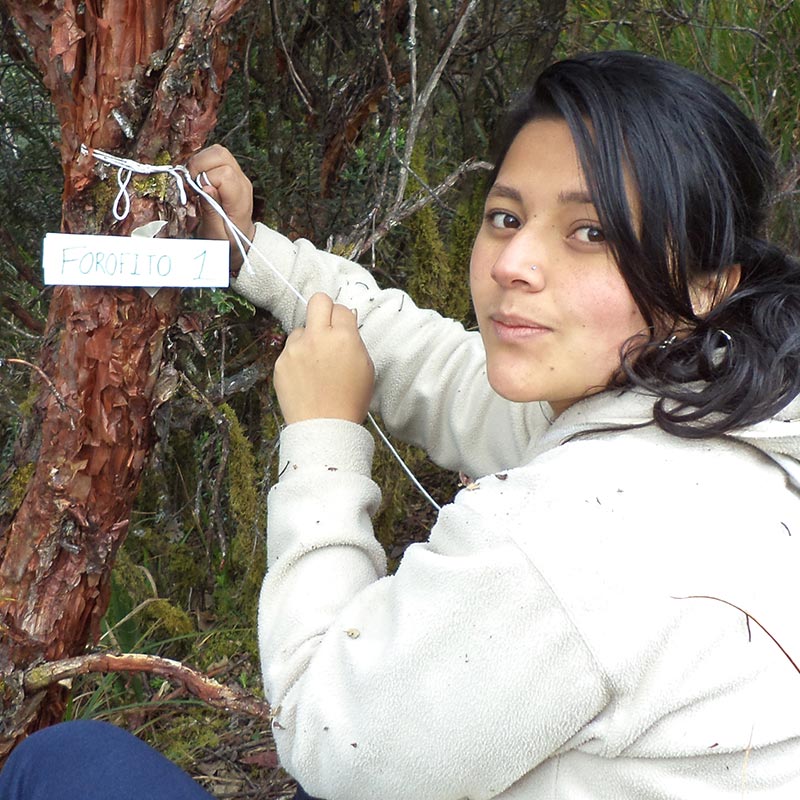 Karen Lizeth Pulido Herrera